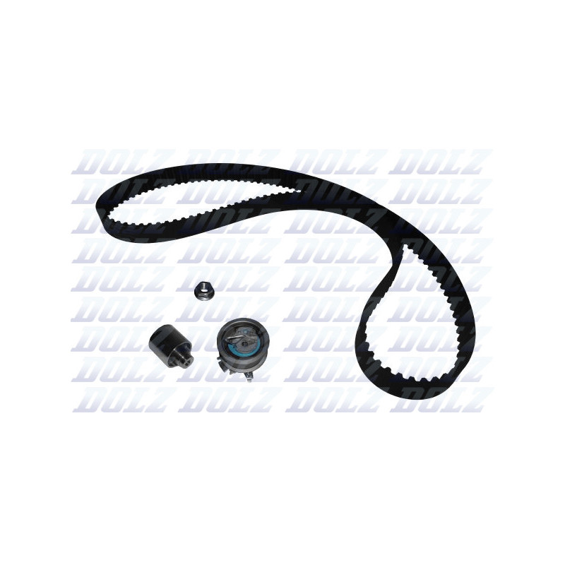 Kit de distribution DOLZ