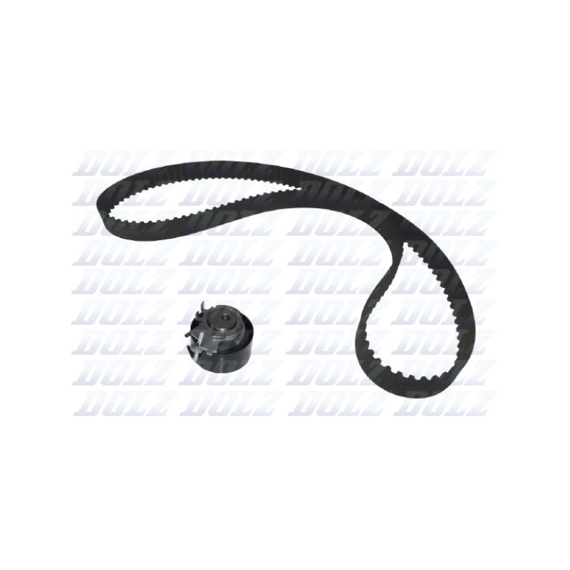 Kit de distribution DOLZ