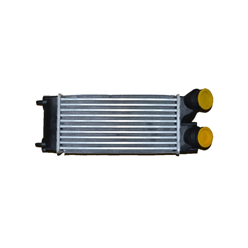 Intercooler (échangeur d'air) NRF