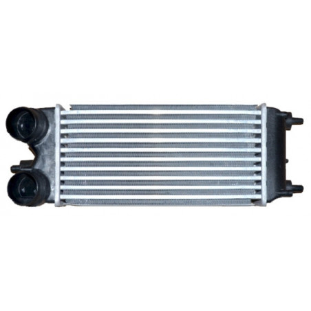 Intercooler (échangeur d'air) NRF