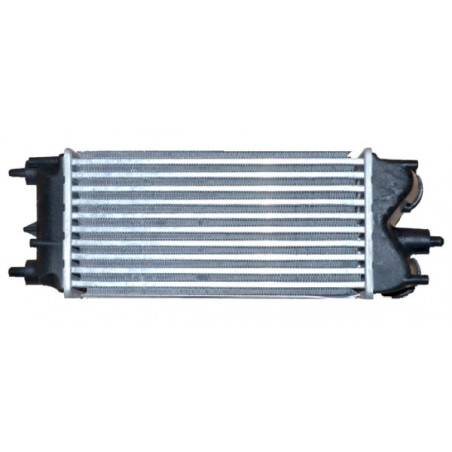Intercooler (échangeur d'air) NRF