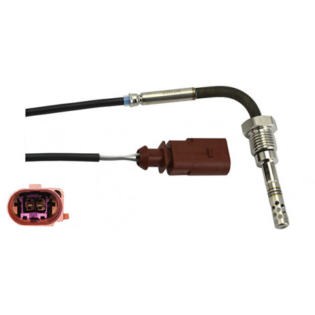 Palpeur (température des...