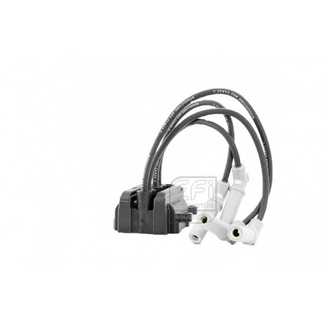 Bobine d'allumage EFI...