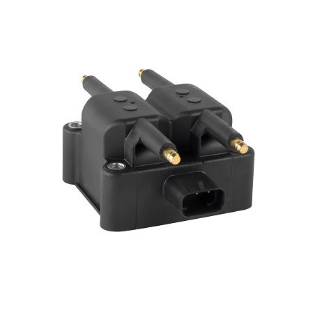 Bobine d'allumage EFI...