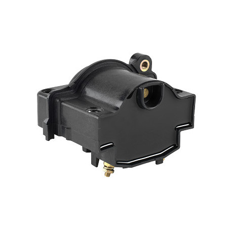 Bobine d'allumage EFI...