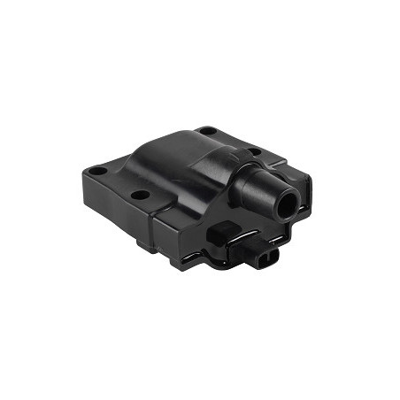 Bobine d'allumage EFI...