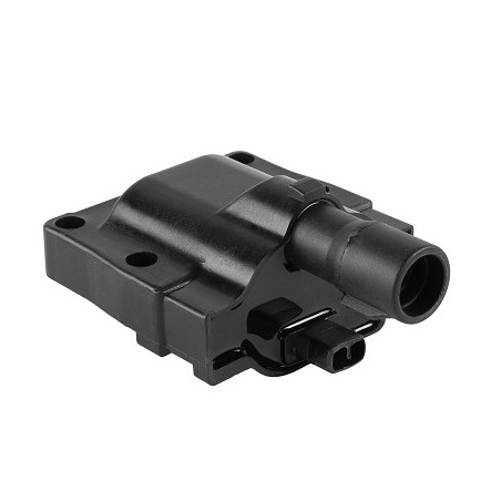 Bobine d'allumage EFI...