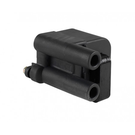 Bobine d'allumage EFI...