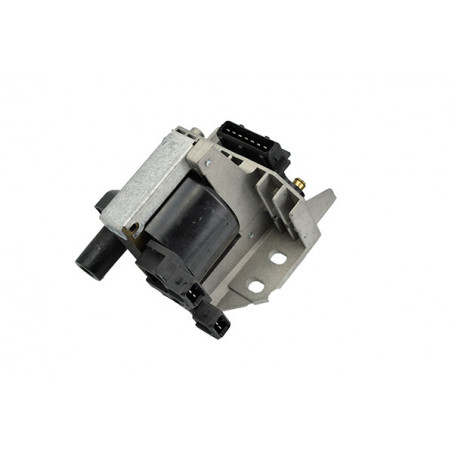 Bobine d'allumage EFI...