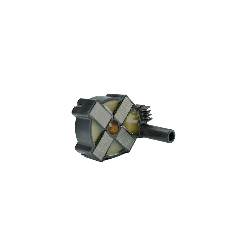Bobine d'allumage EFI Automotive
