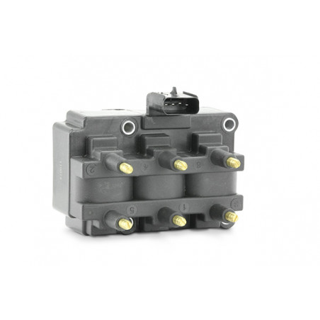 Bobine d'allumage EFI...