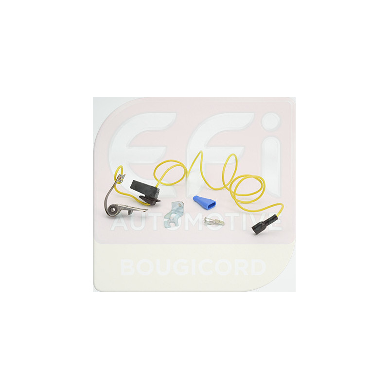 Vis platinées EFI Automotive