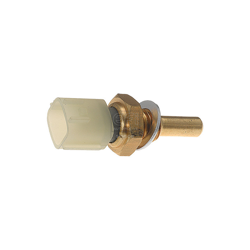 Sonde de température (liquide de refroidissement) EFI Automotive