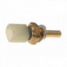 Sonde de température (liquide de refroidissement) EFI Automotive