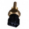 Sonde de température (liquide de refroidissement) EFI Automotive