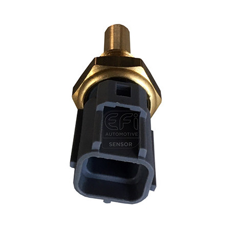 Sonde de température (liquide de refroidissement) EFI Automotive