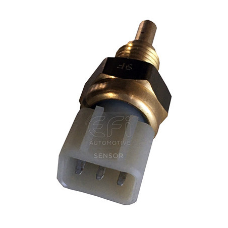 Sonde de température (liquide de refroidissement) EFI Automotive