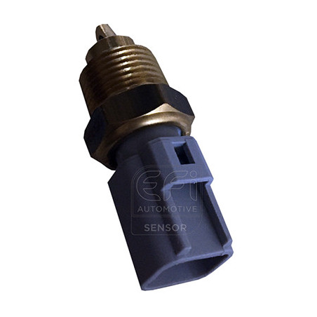 Sonde de température (liquide de refroidissement) EFI Automotive