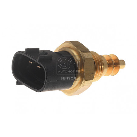 Sonde de température (liquide de refroidissement) EFI Automotive