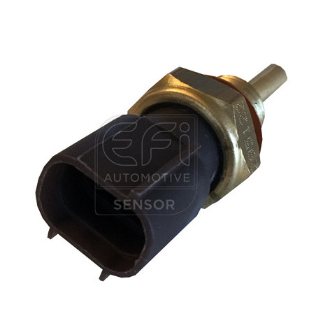 Sonde de température (liquide de refroidissement) EFI Automotive