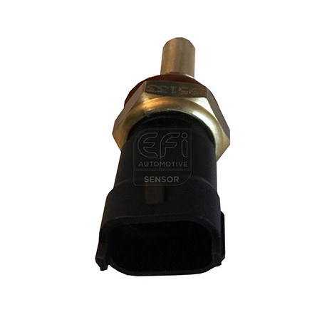 Sonde de température (liquide de refroidissement) EFI Automotive