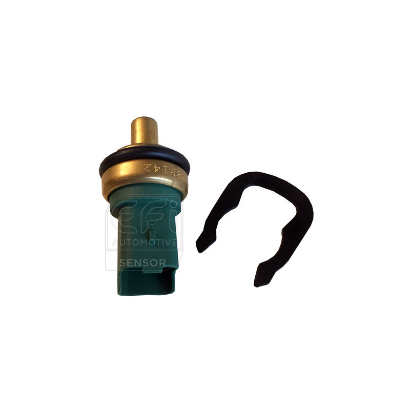 Sonde de température (liquide de refroidissement) EFI Automotive