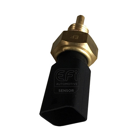 Sonde de température (liquide de refroidissement) EFI Automotive