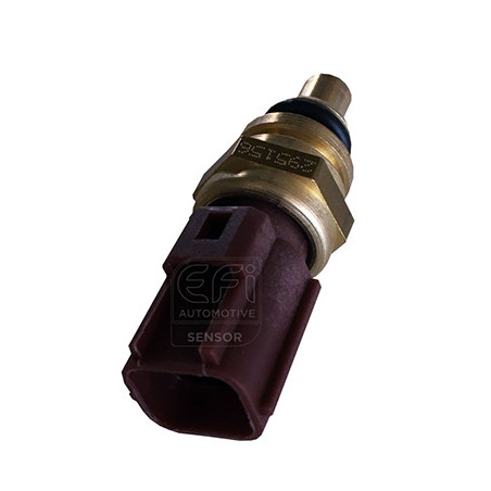 Sonde de température (liquide de refroidissement) EFI Automotive