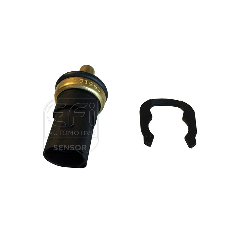 Sonde de température (liquide de refroidissement) EFI Automotive