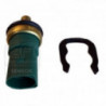 Sonde de température (liquide de refroidissement) EFI Automotive