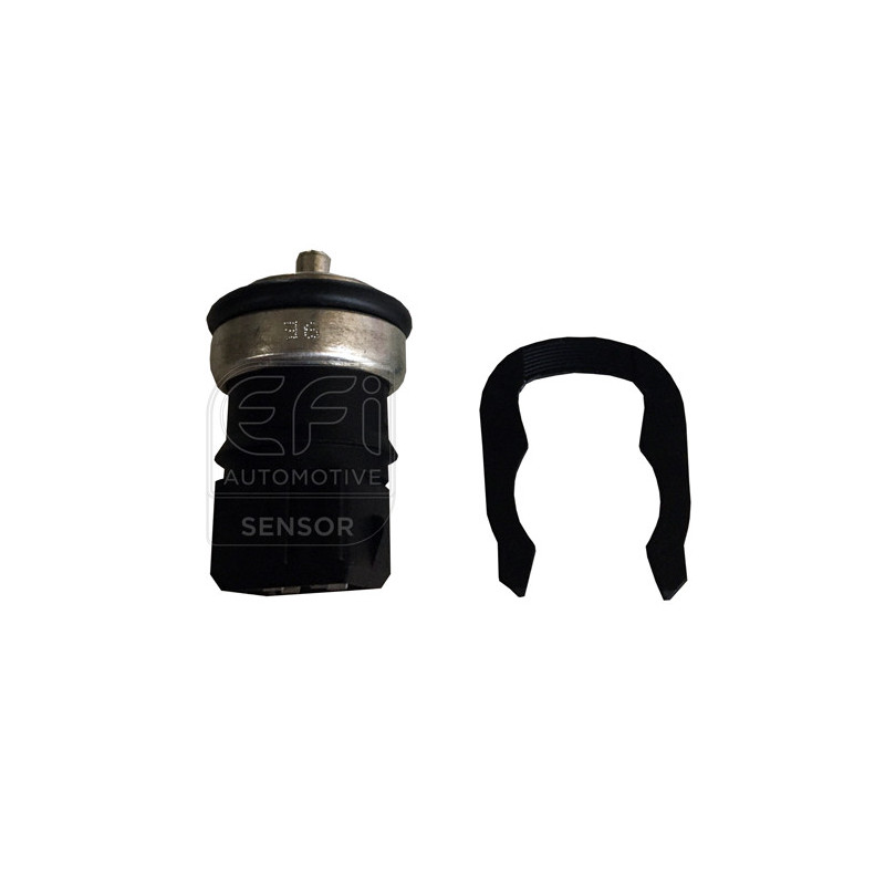Sonde de température (liquide de refroidissement) EFI Automotive