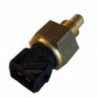 Sonde de température (liquide de refroidissement) EFI Automotive